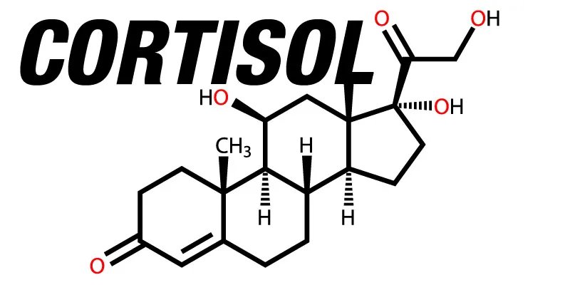 What are the Stress Hormones?