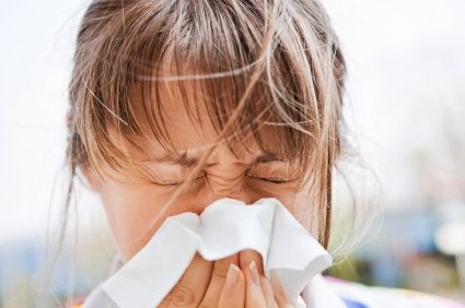 sneeze cold allergies allergy